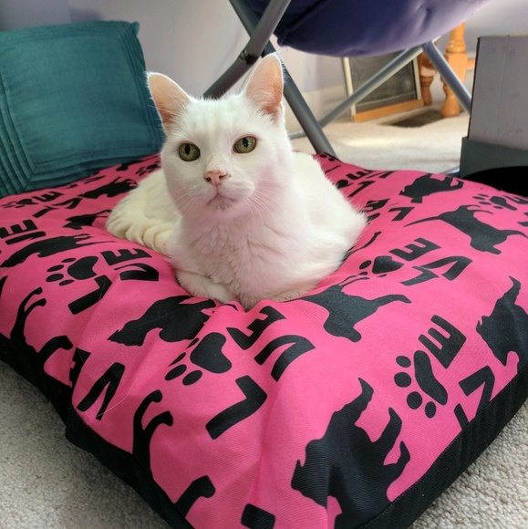 Meet your Posher, Sarah - Picture 1 of 1